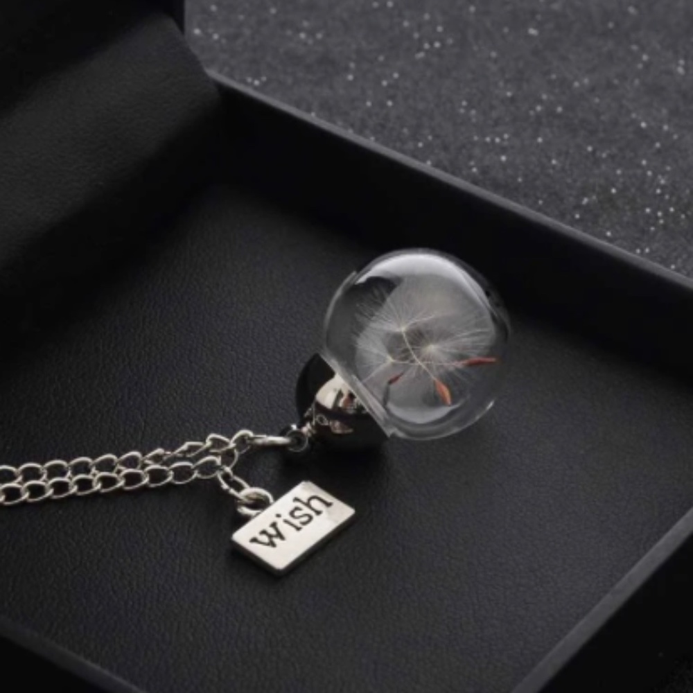 wish bottle necklace , keep your beautiful dream with you